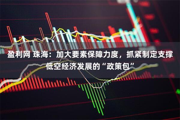 盈利网 珠海：加大要素保障力度，抓紧制定支撑低空经济发展的“政策包”