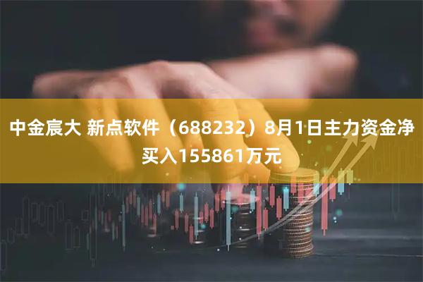 中金宸大 新点软件(688232)8月1日主力资金净买入155861万元